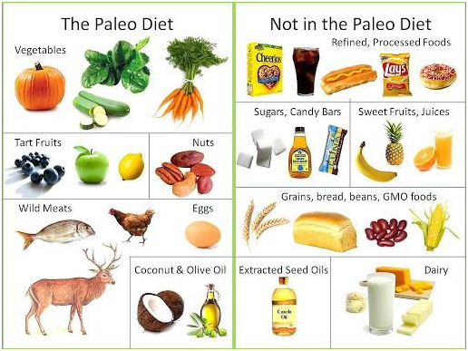 What is Paleo Diet?